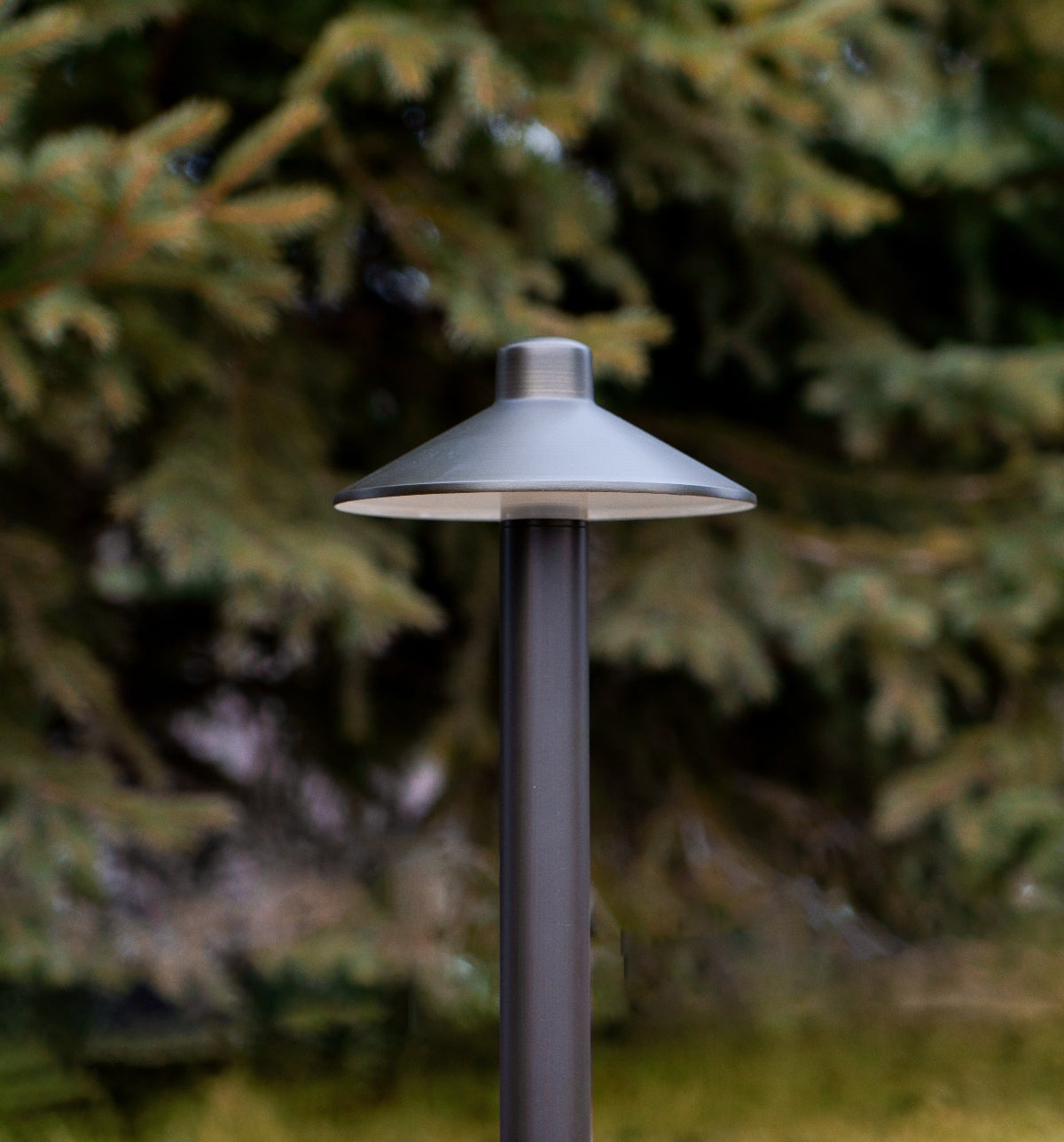 Garden light fixture on a pole with trees in the background