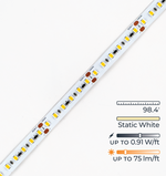 Endless LED Strip Light – Static White