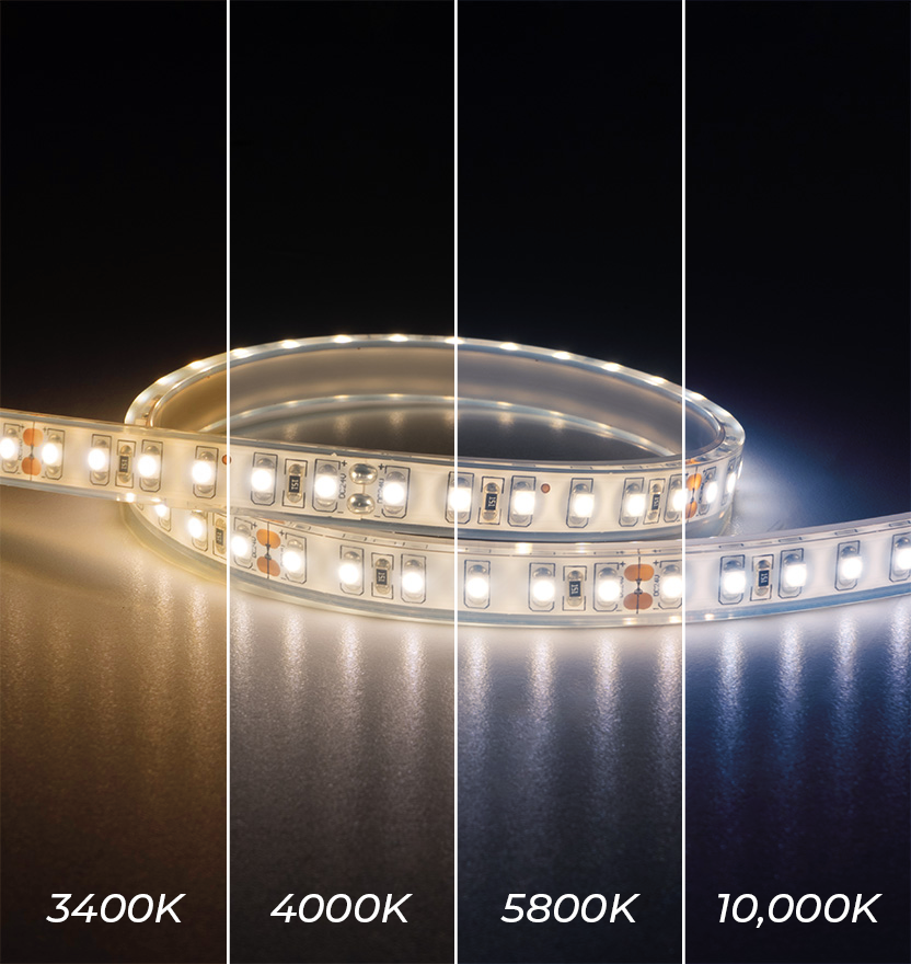 N-Series LED Strip Light - Ultra Bright - Single Color - Waterproof