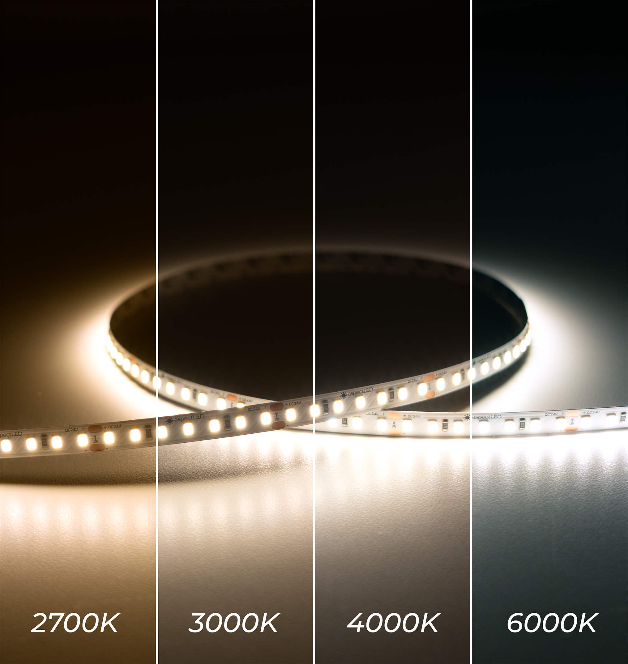 CoreLine Bold LED Strip Light - Single Color