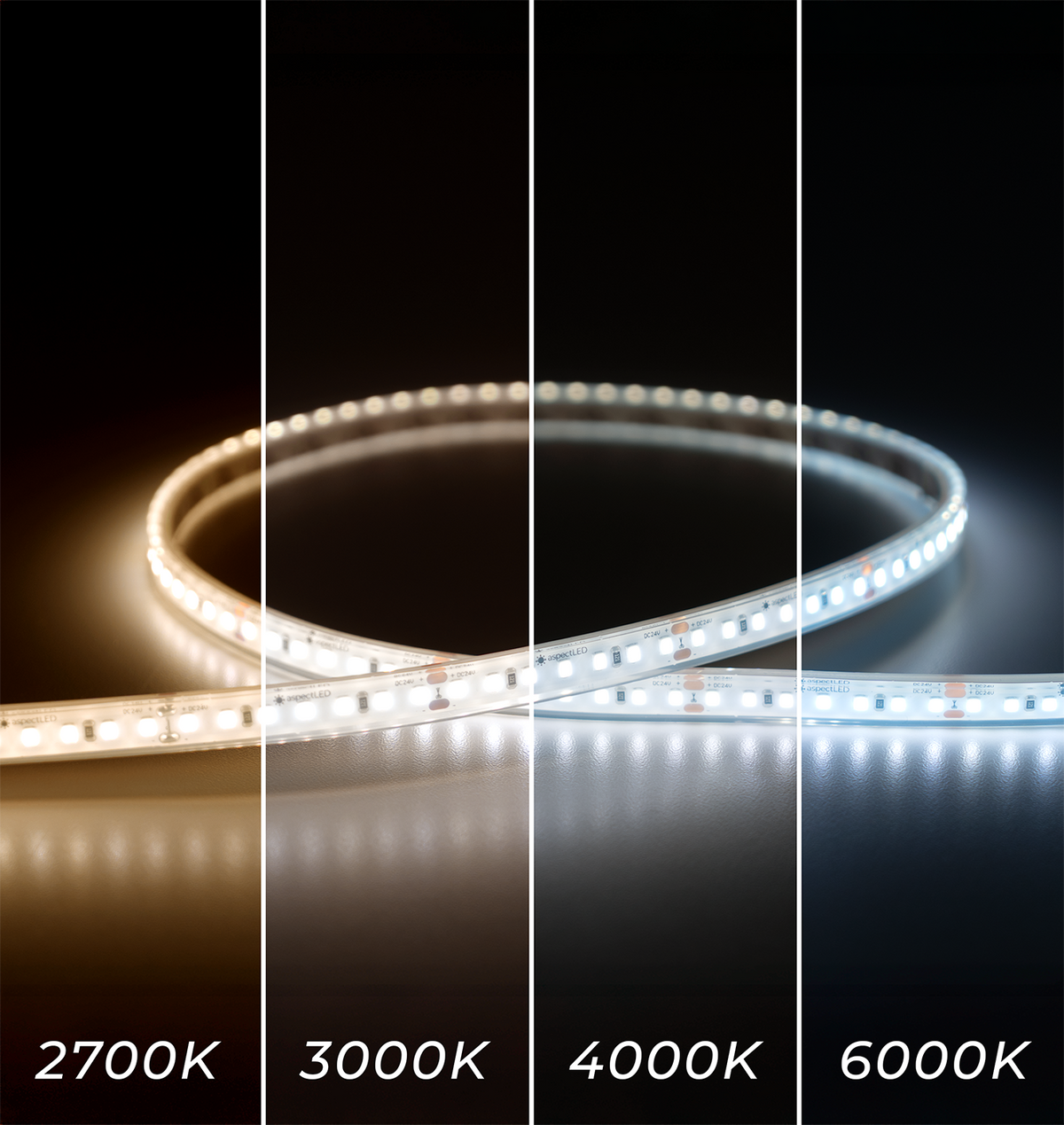 CoreLine Bold LED Strip Light - Single Color - Waterproof