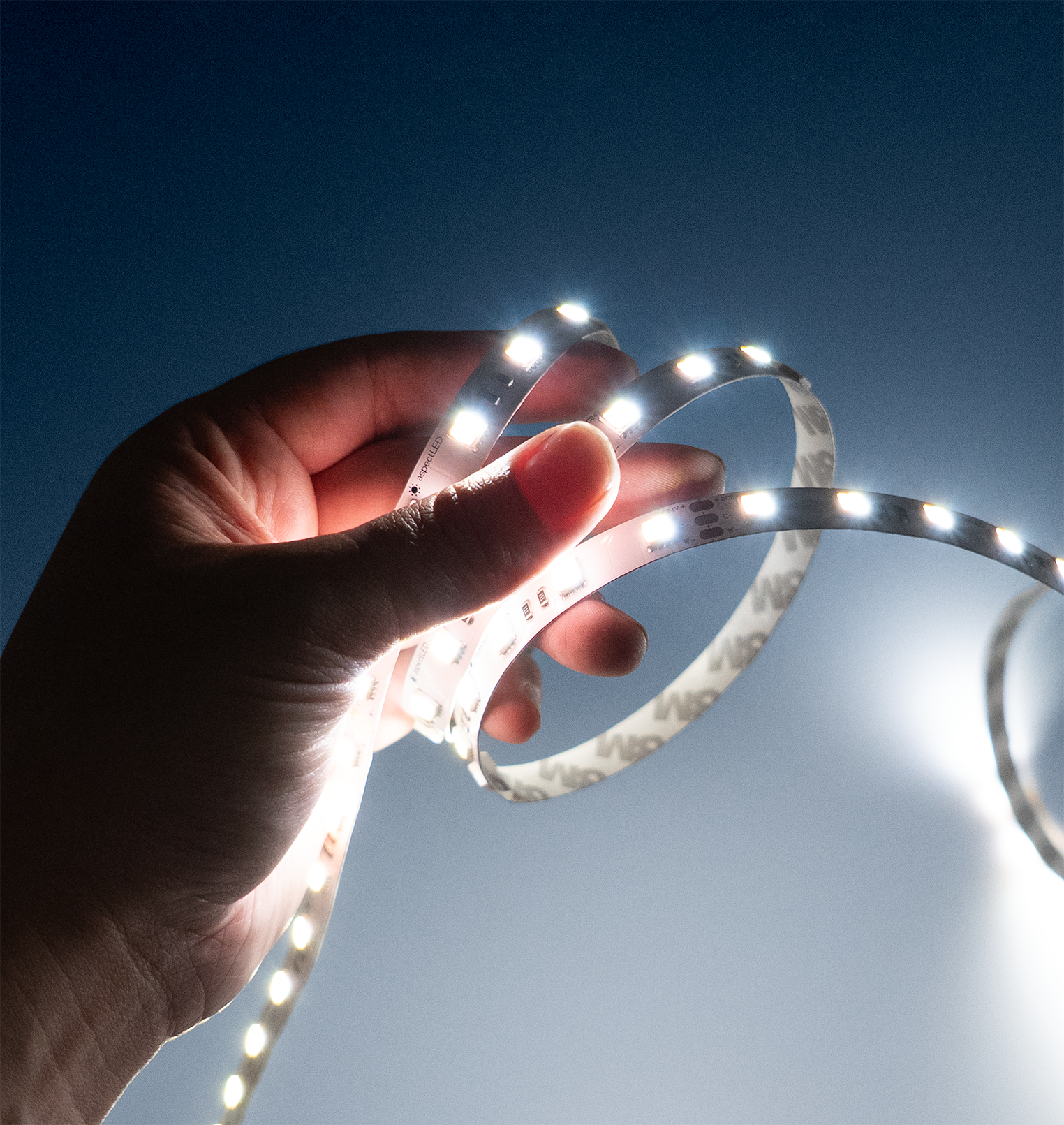 WideLine LED Strip Light - Tunable White