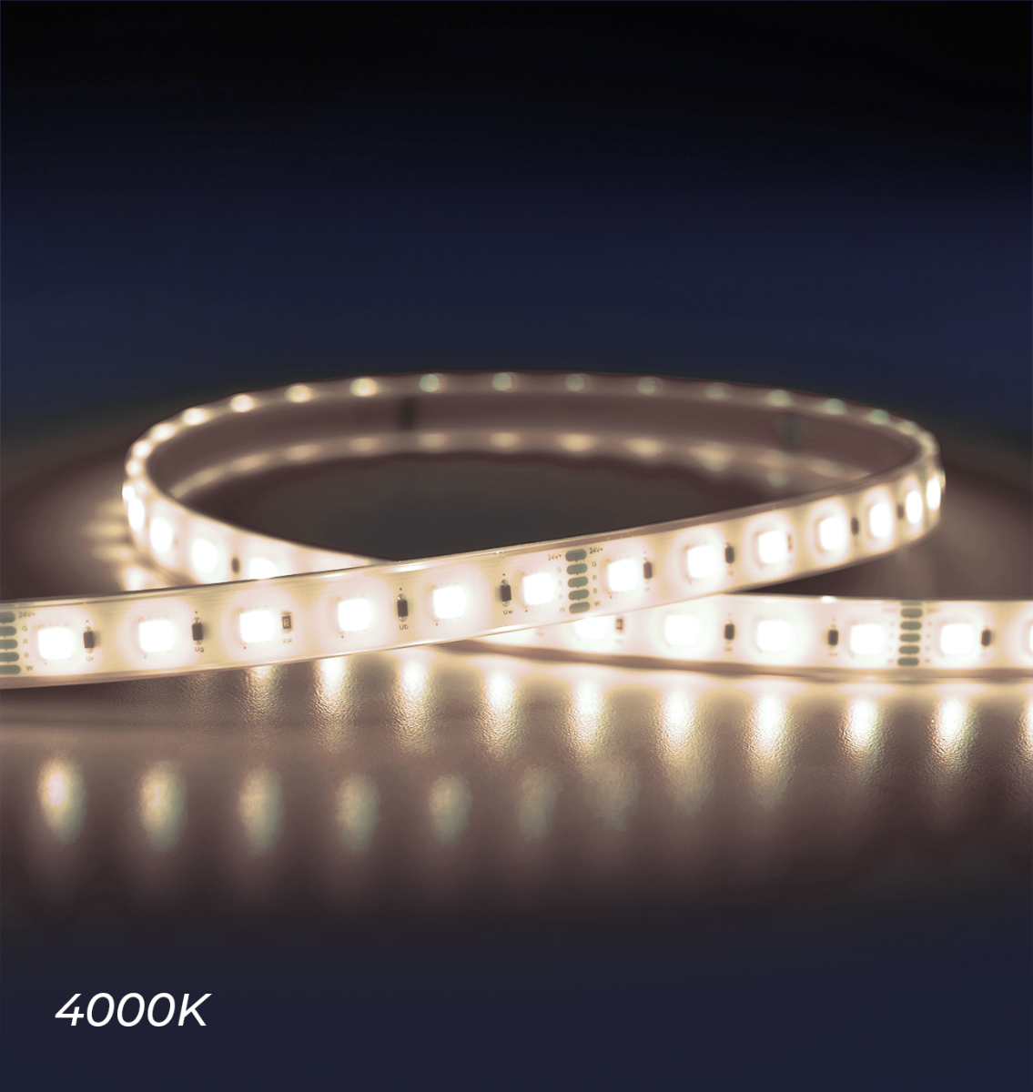 WideLine LED Strip Light – RGBW Color Changing - Waterproof