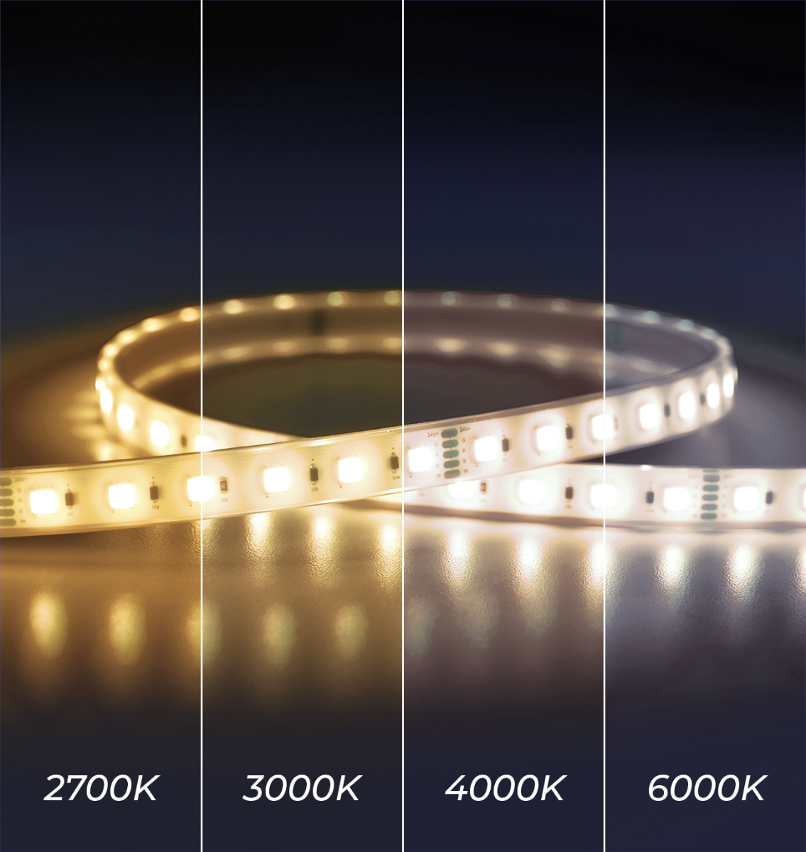 WideLine LED Strip Light – RGBW Color Changing - Waterproof
